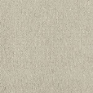 Silver Gray