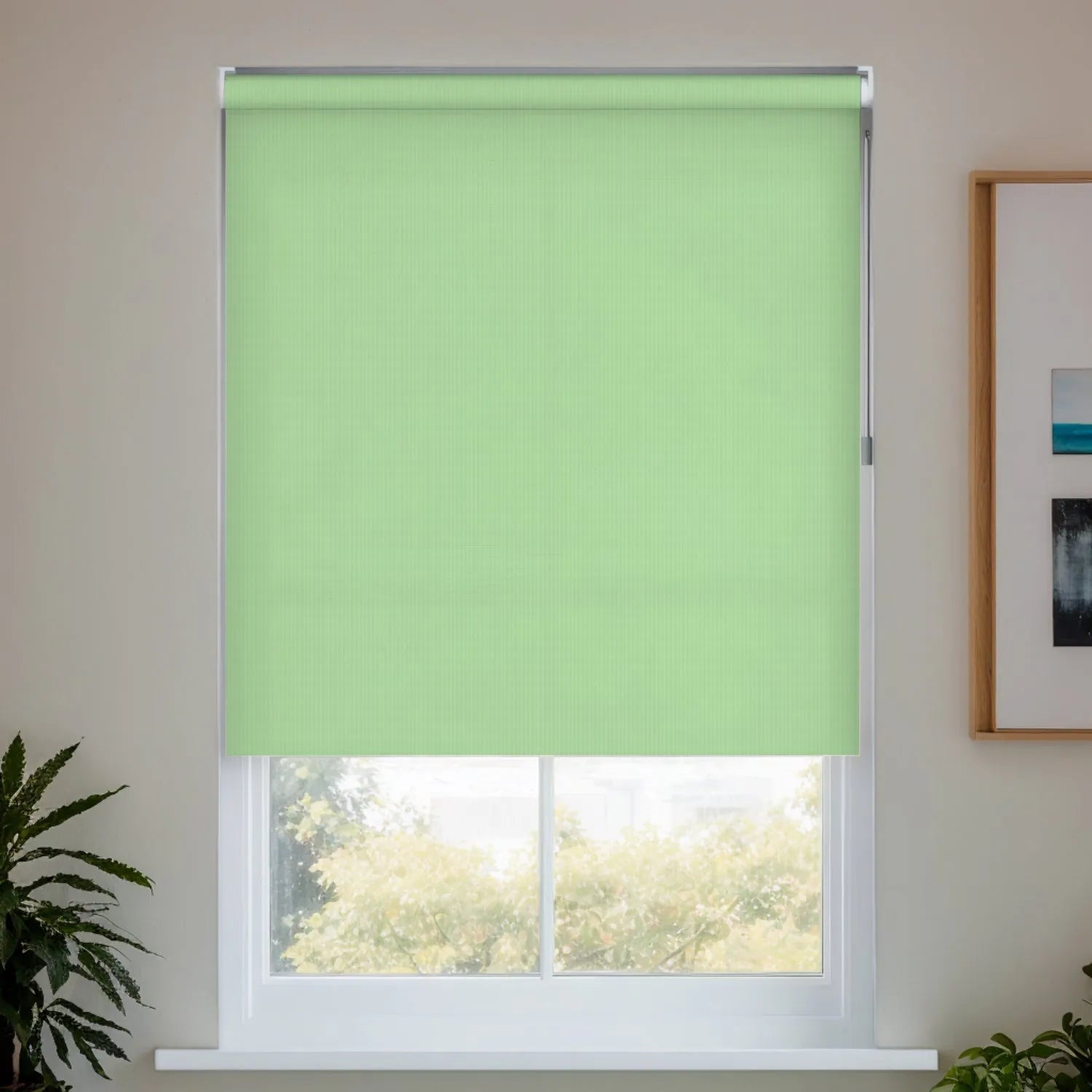 Fruit Green