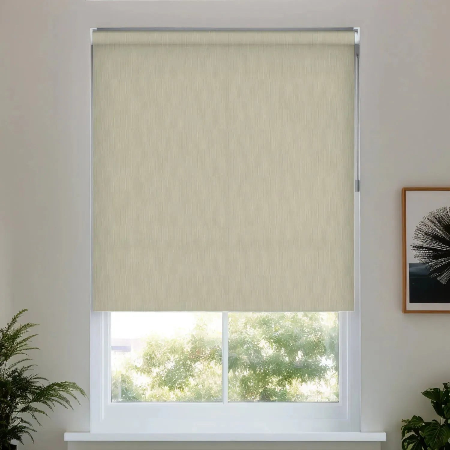 Plain Beige