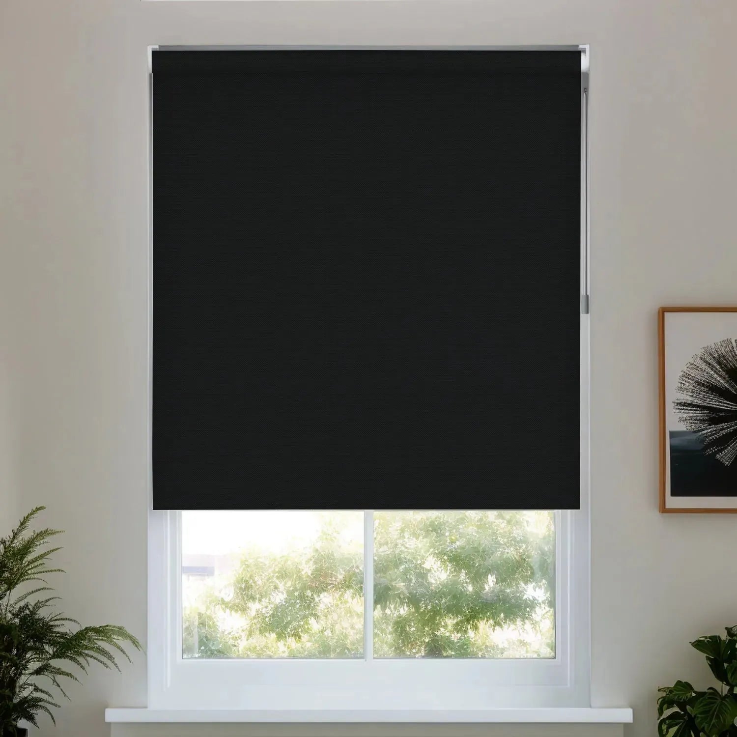 Fine-Textured Black