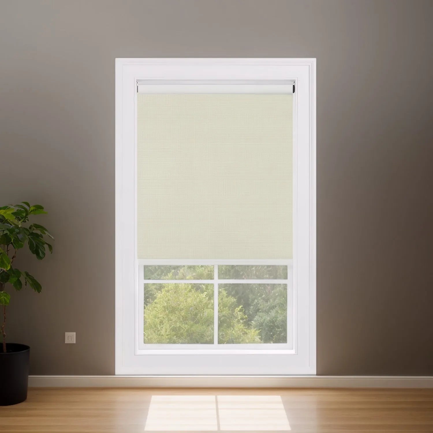 Fine-Textured Beige