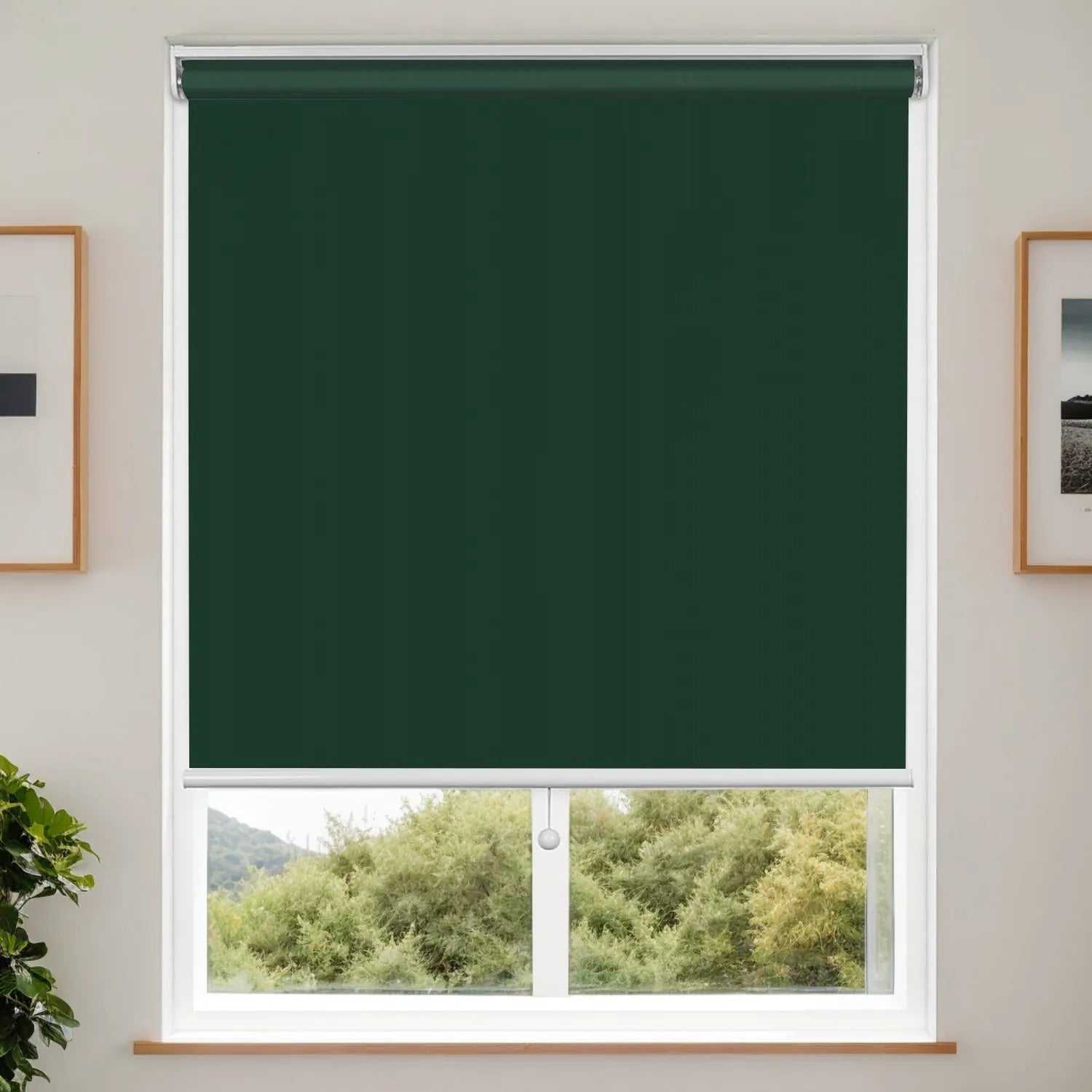 Blackish Green