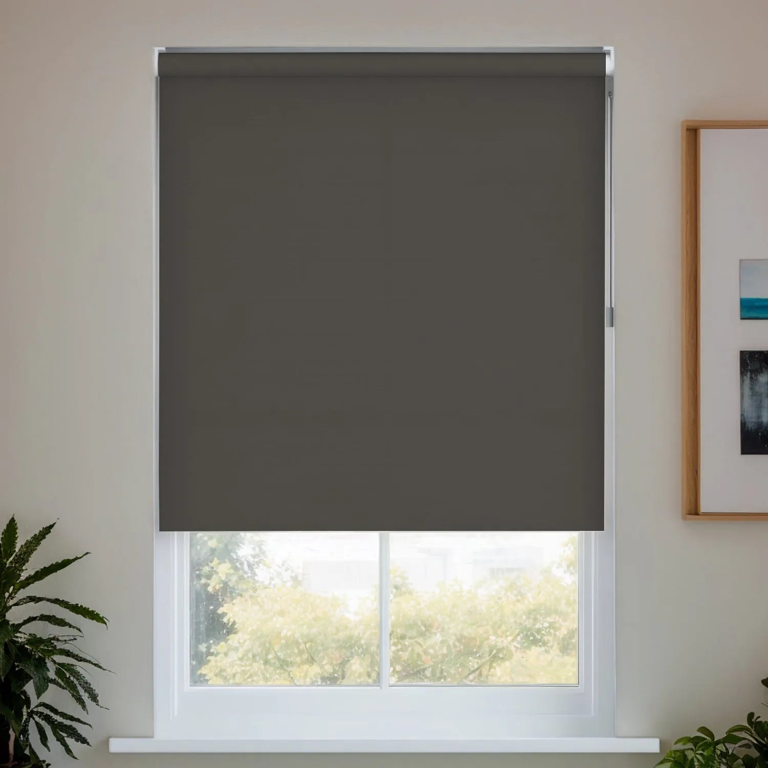 Dark Gray