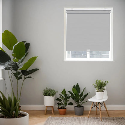 Light Gray
