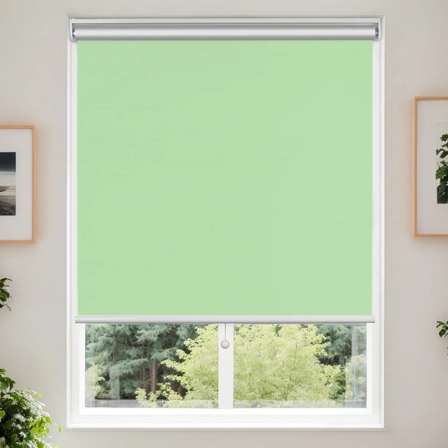 Fruit Green