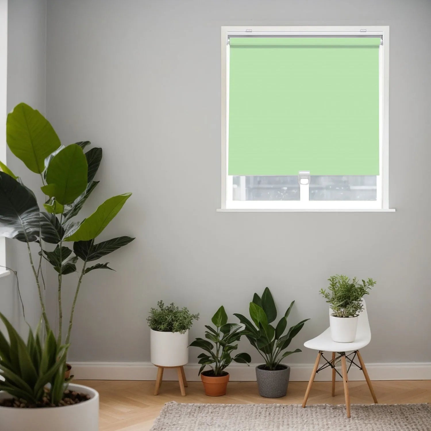 Fruit Green