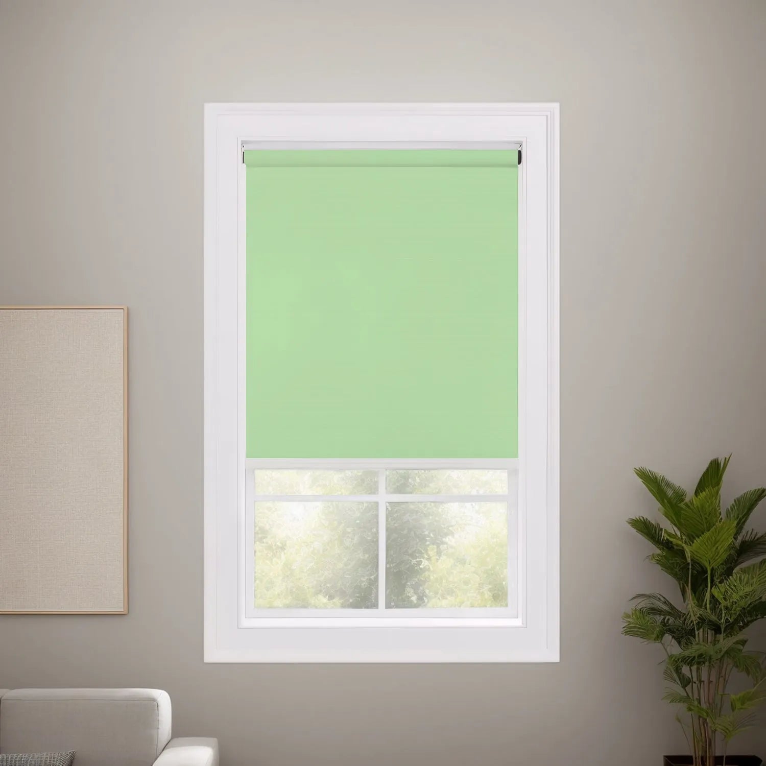 Fruit Green