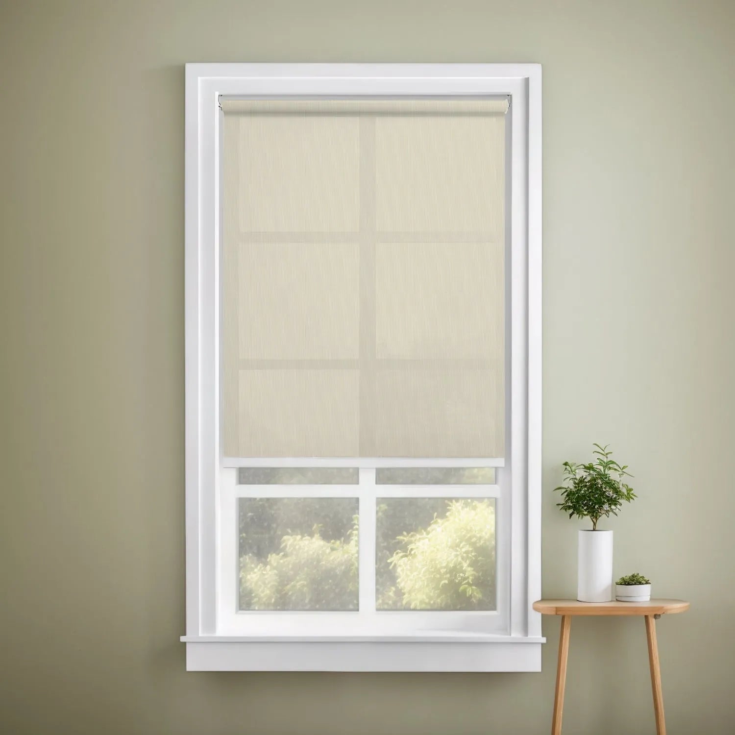 Plain Beige