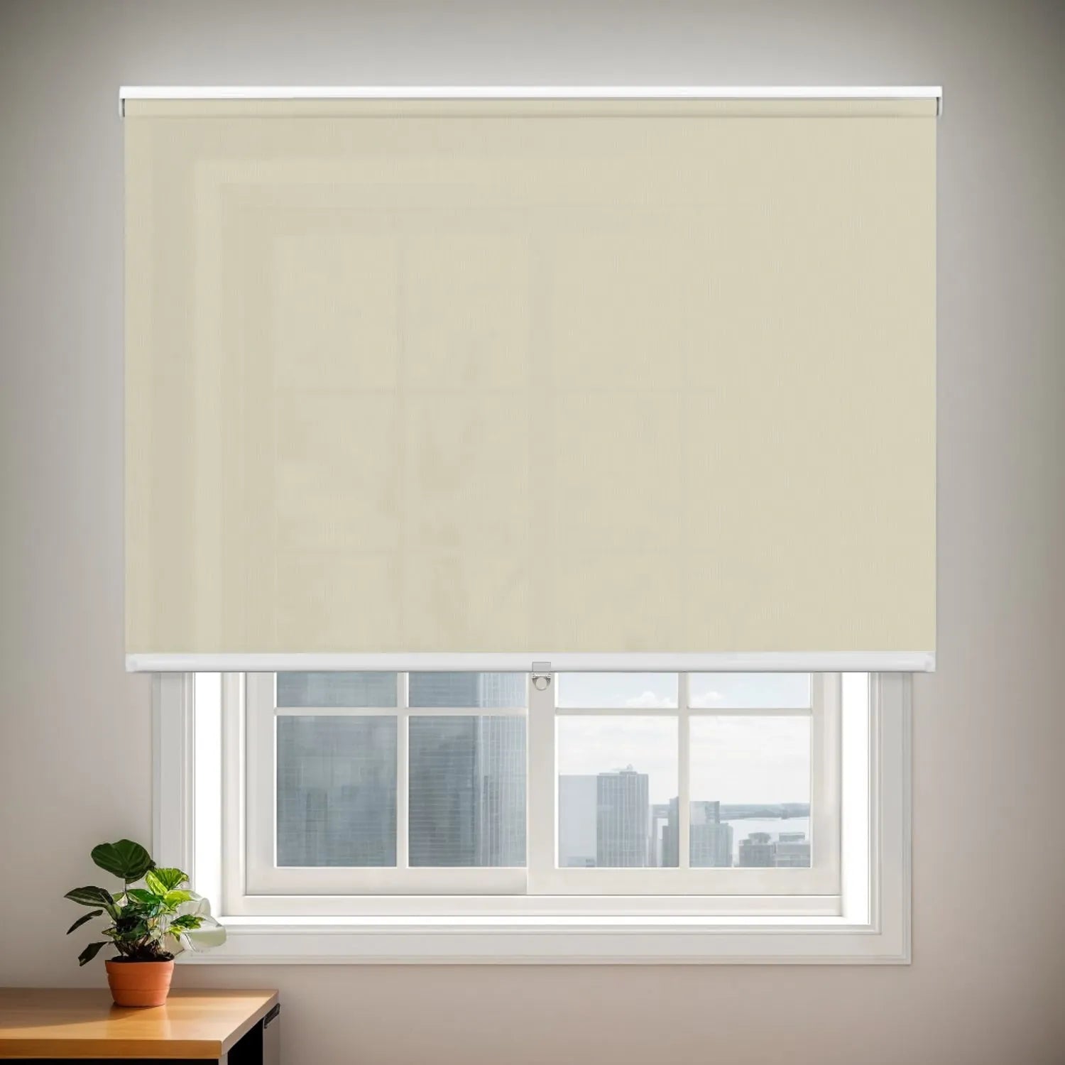Plain Beige