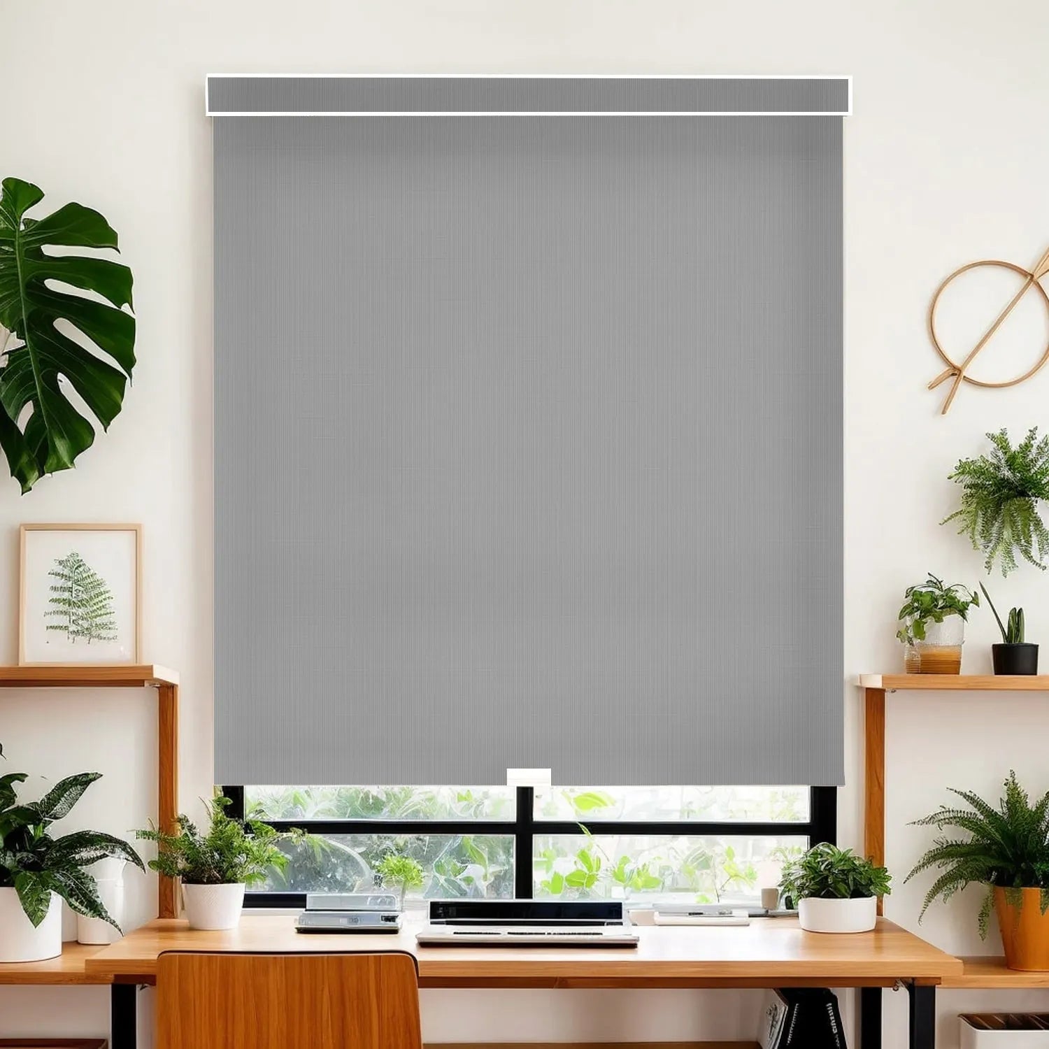 Plain Gray