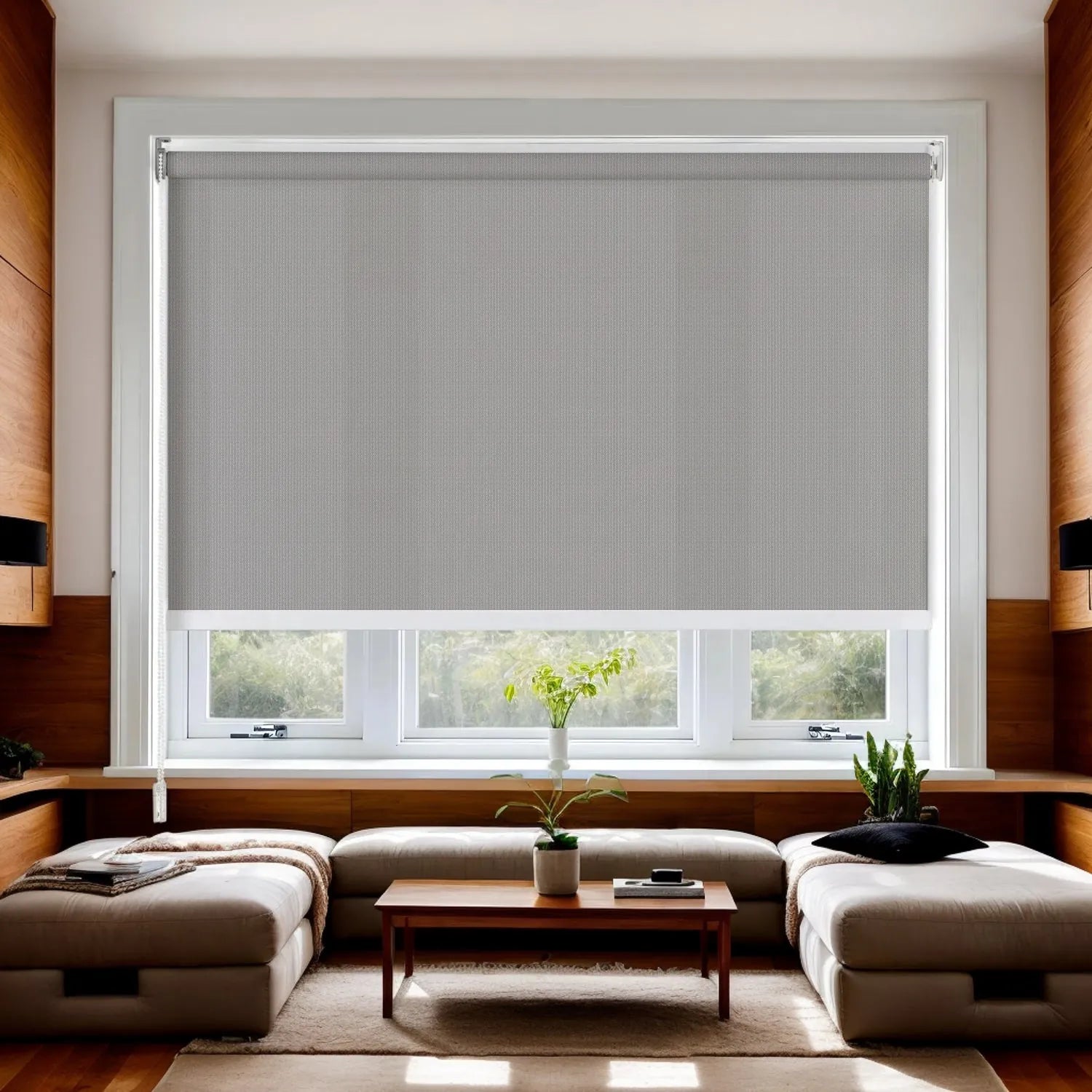Plain Gray