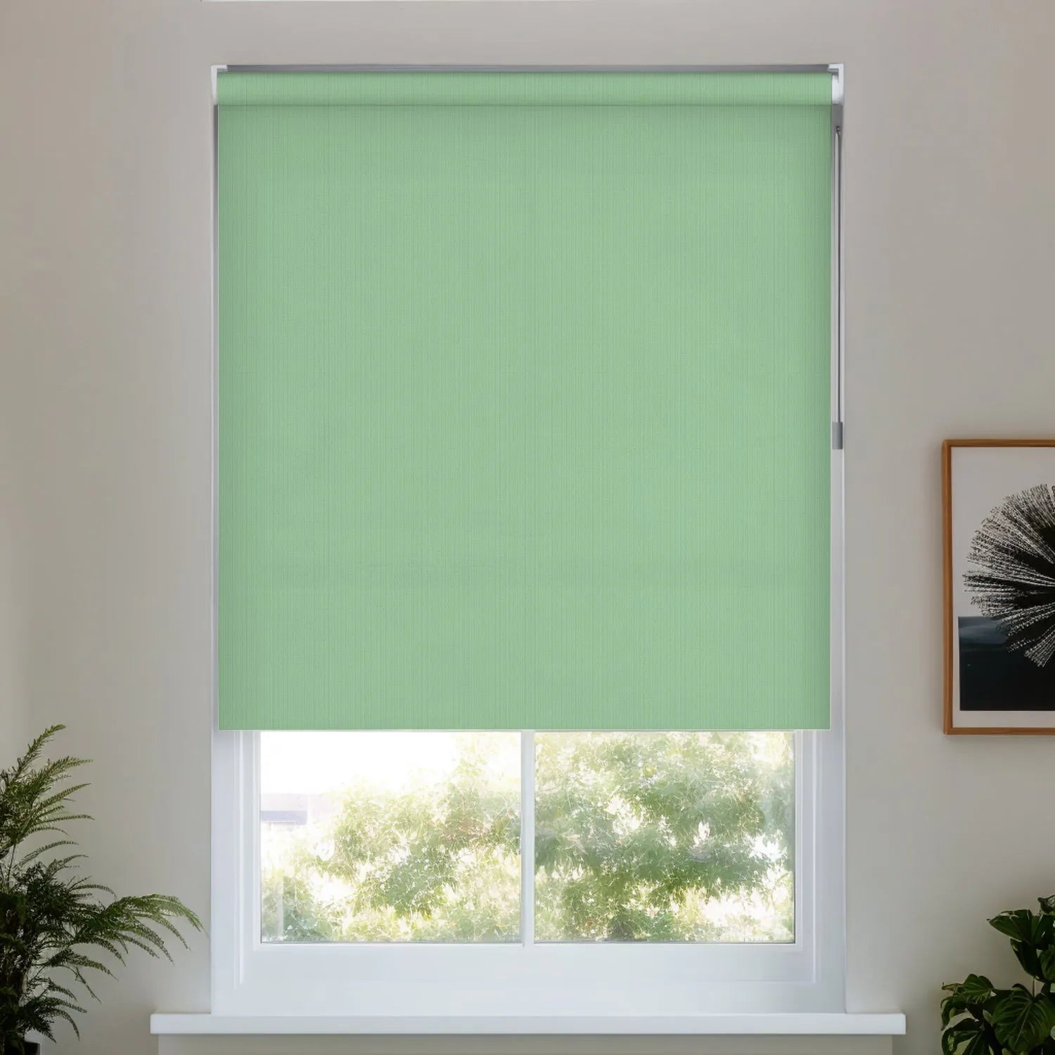 Fruit Green