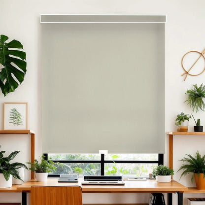 Plain Beige