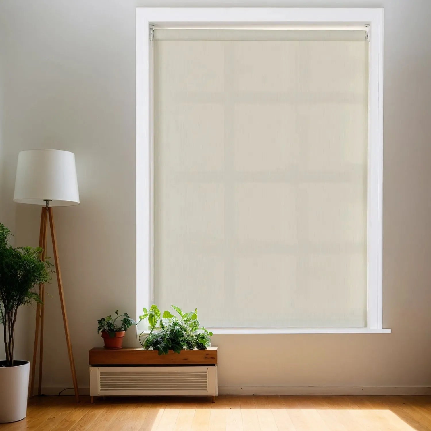 Plain Beige