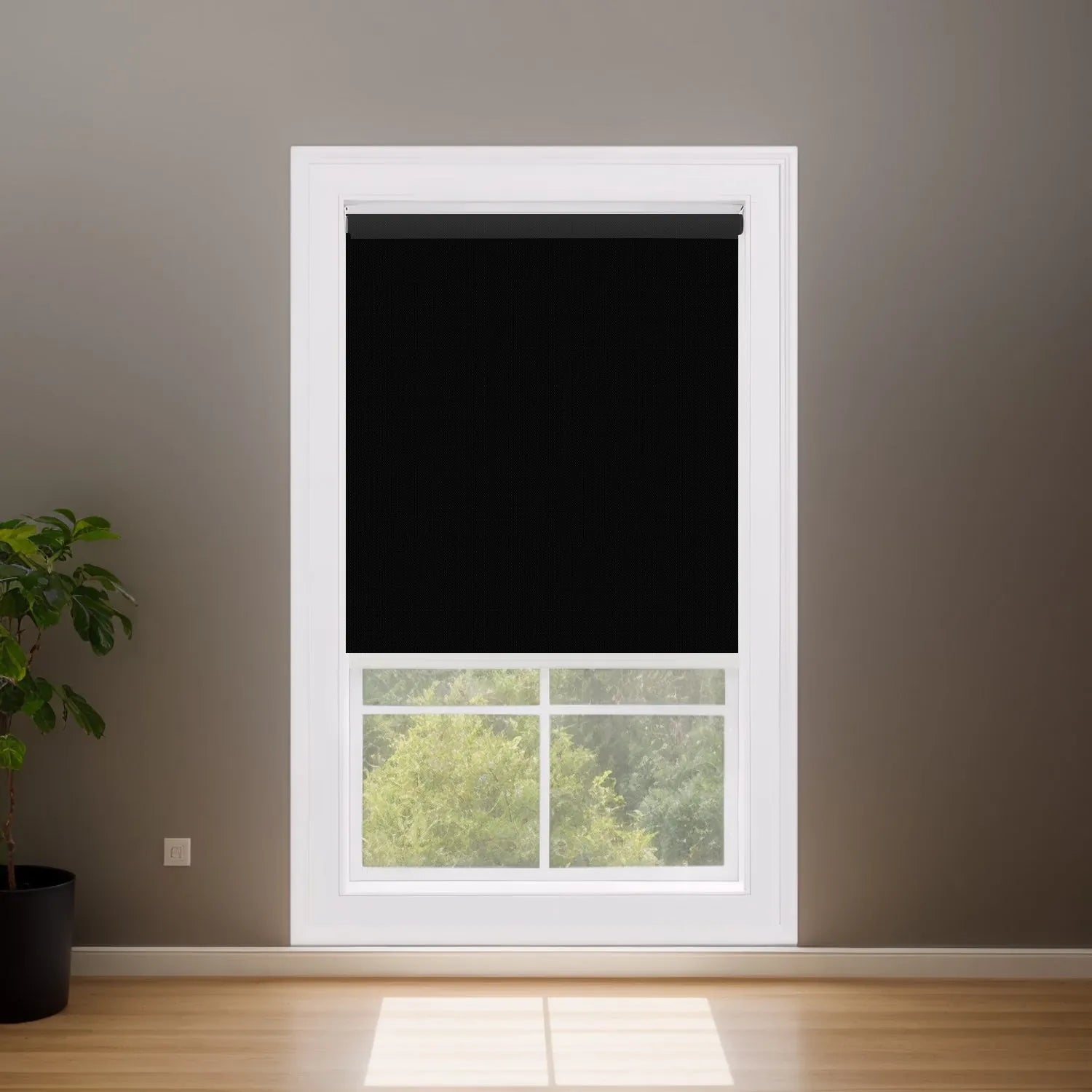 Fine-Textured Black