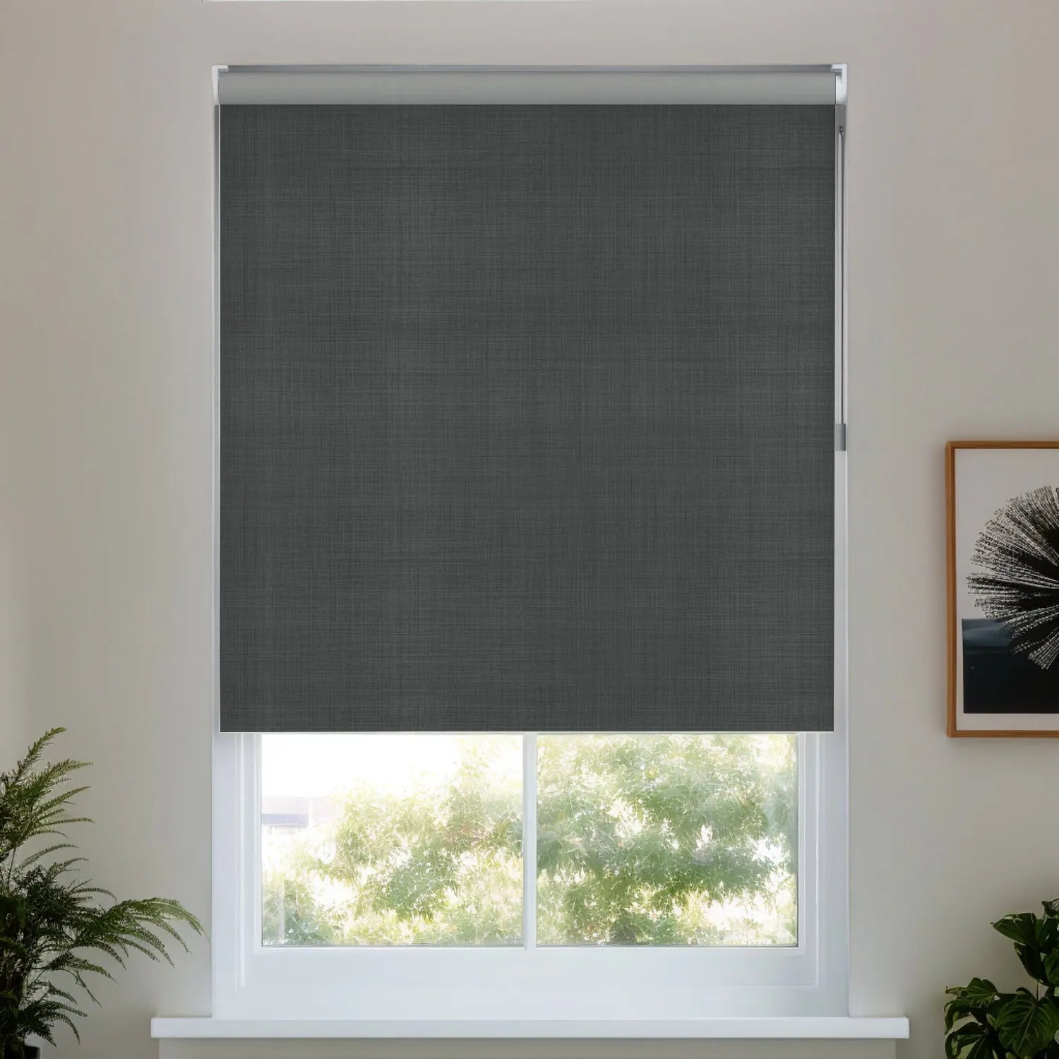 Dark Gray