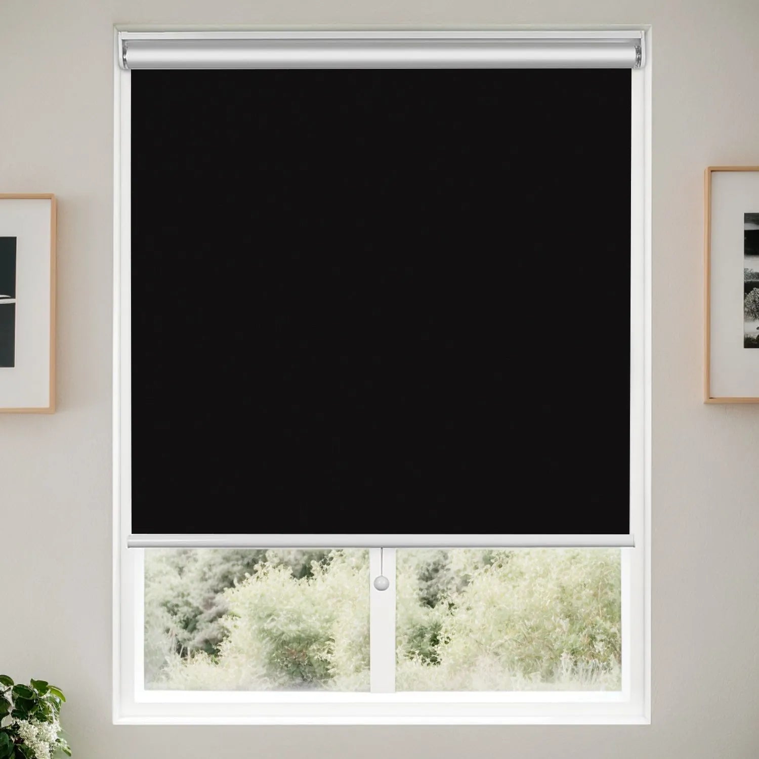 Premium Black