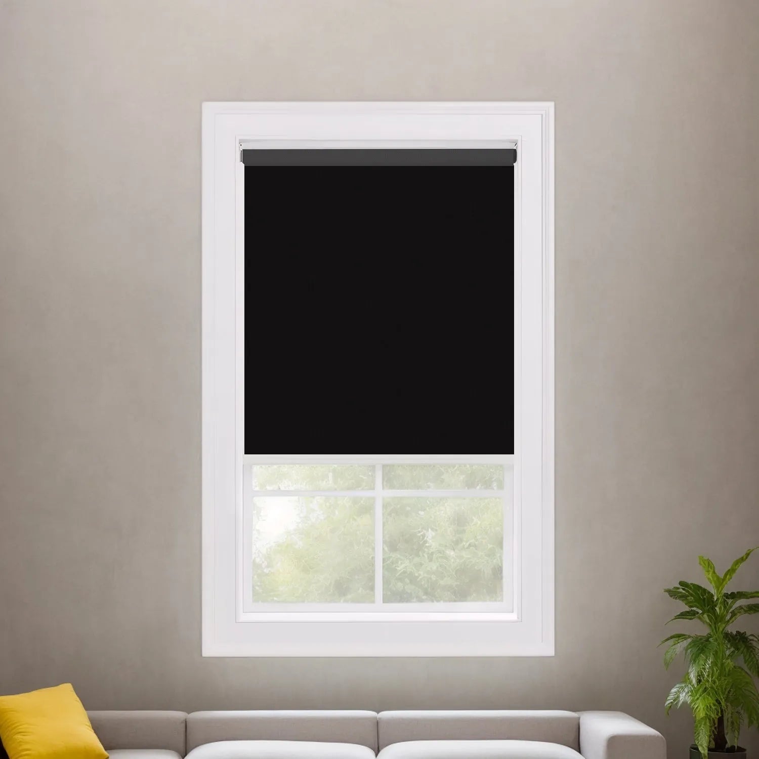 Premium Black