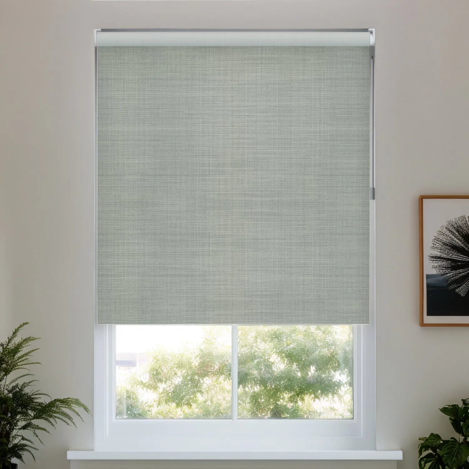 Light Gray
