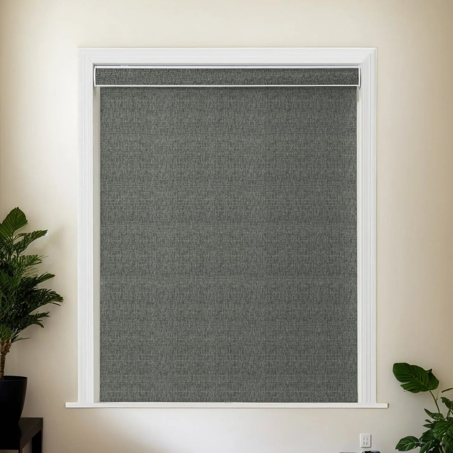 Dark Gray