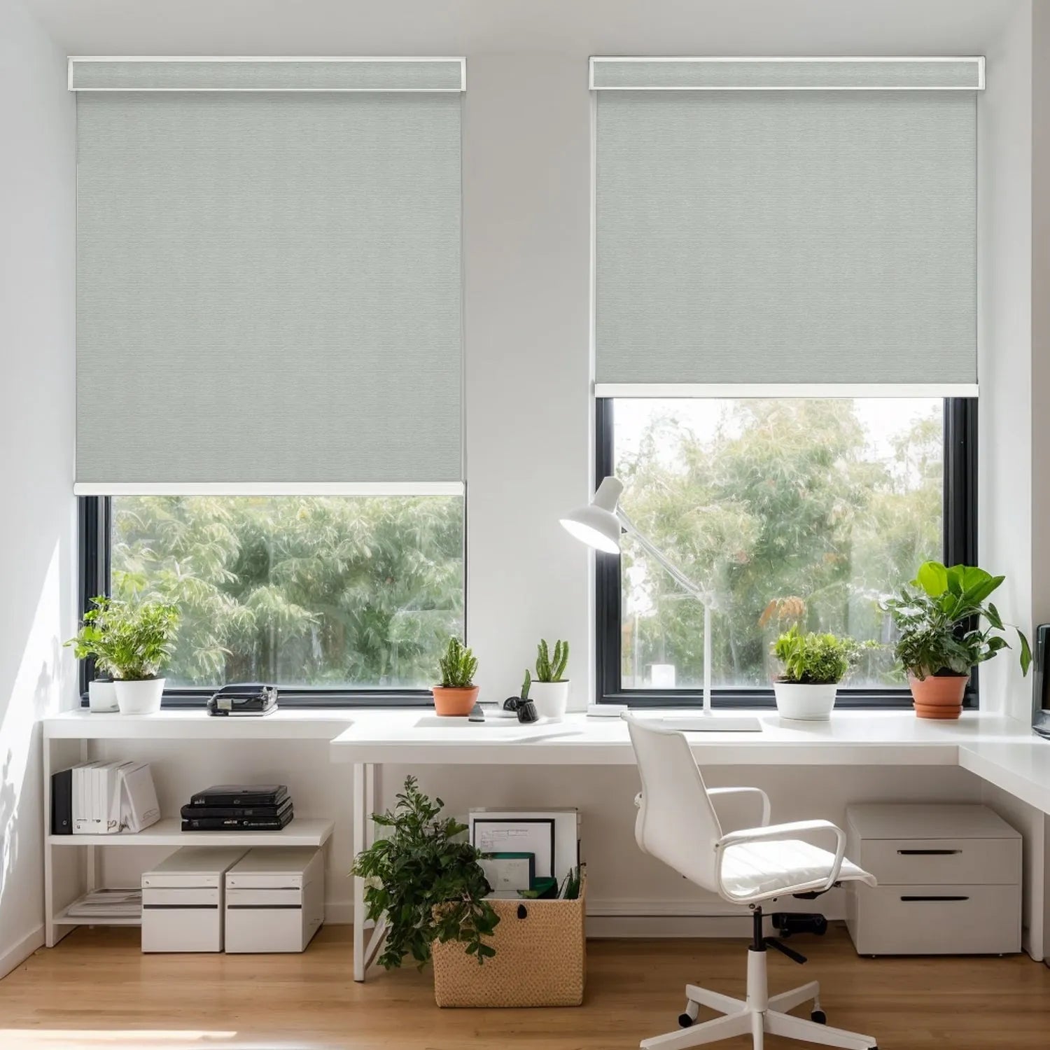 Light Gray