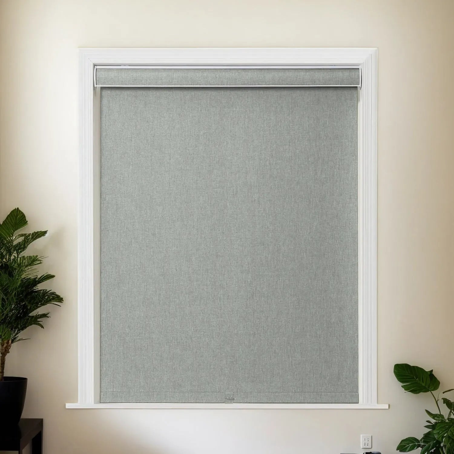 Light Gray