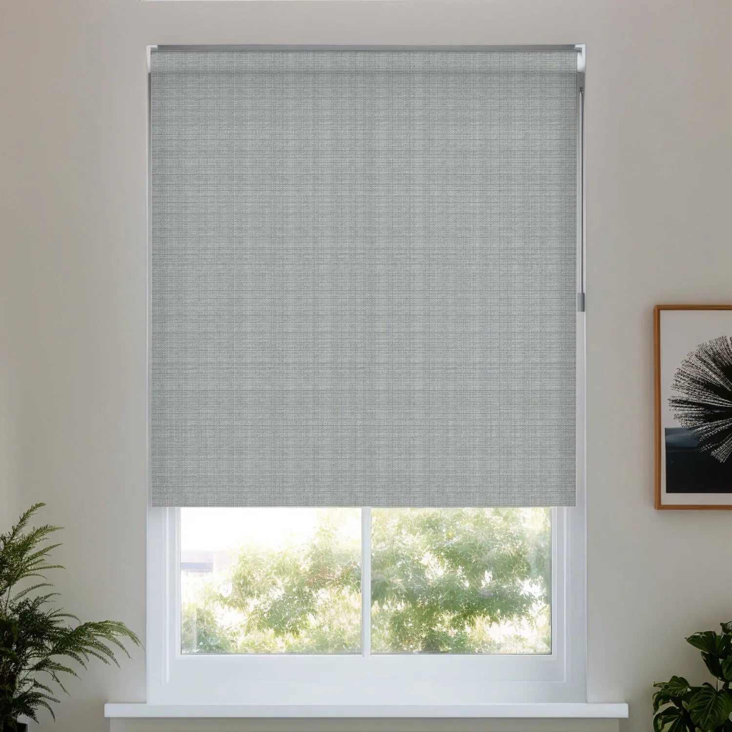Light Gray