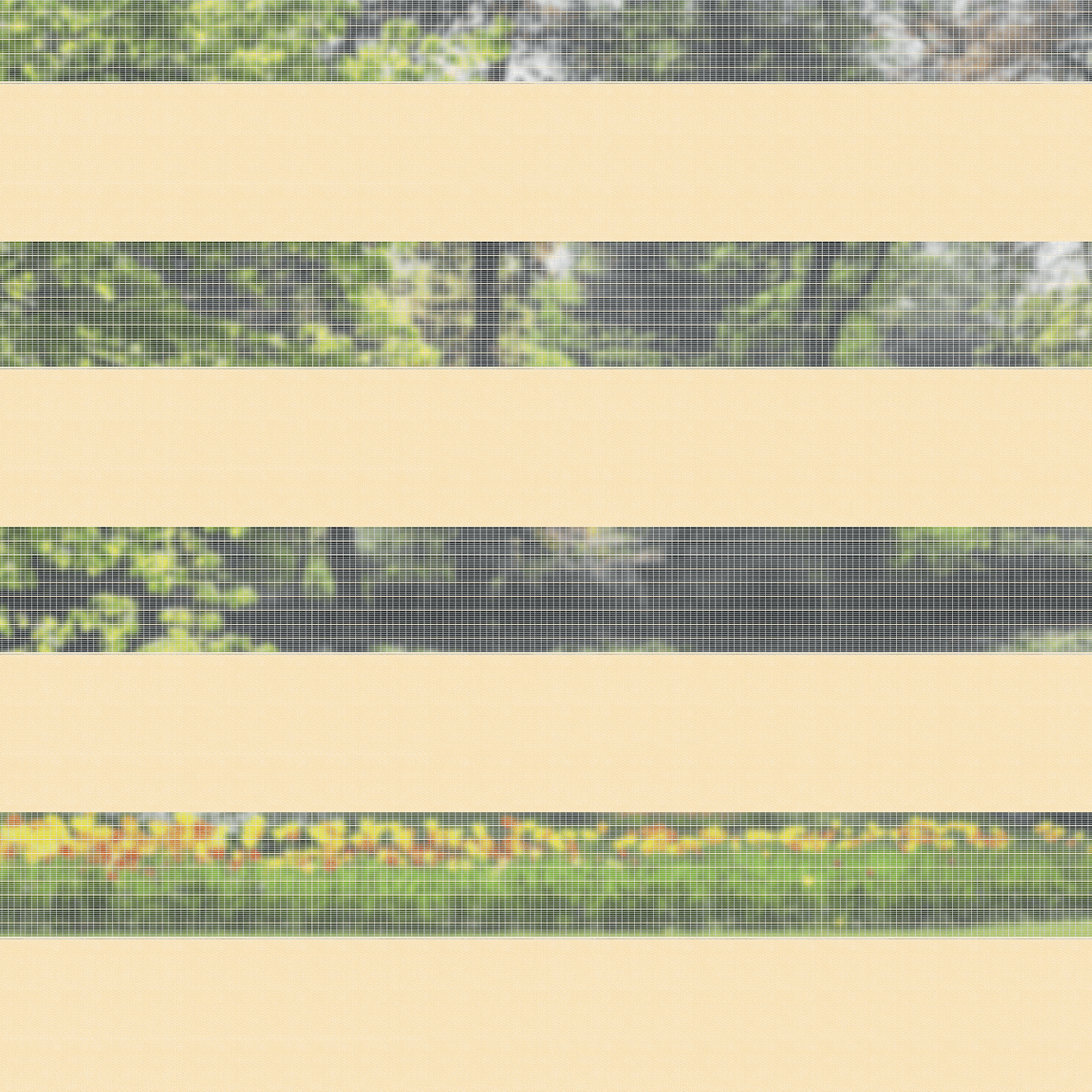 Beige Yellow