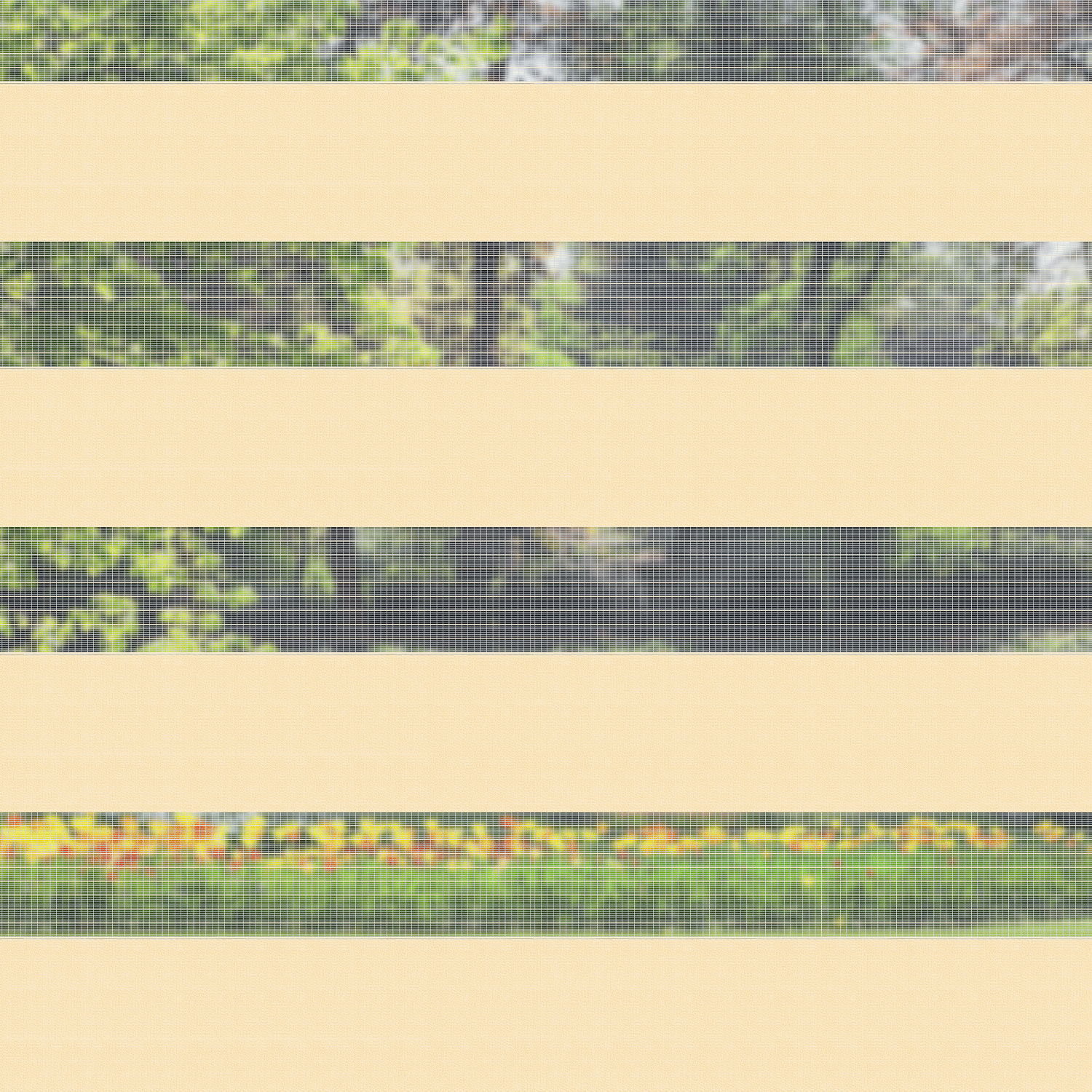 Beige Yellow