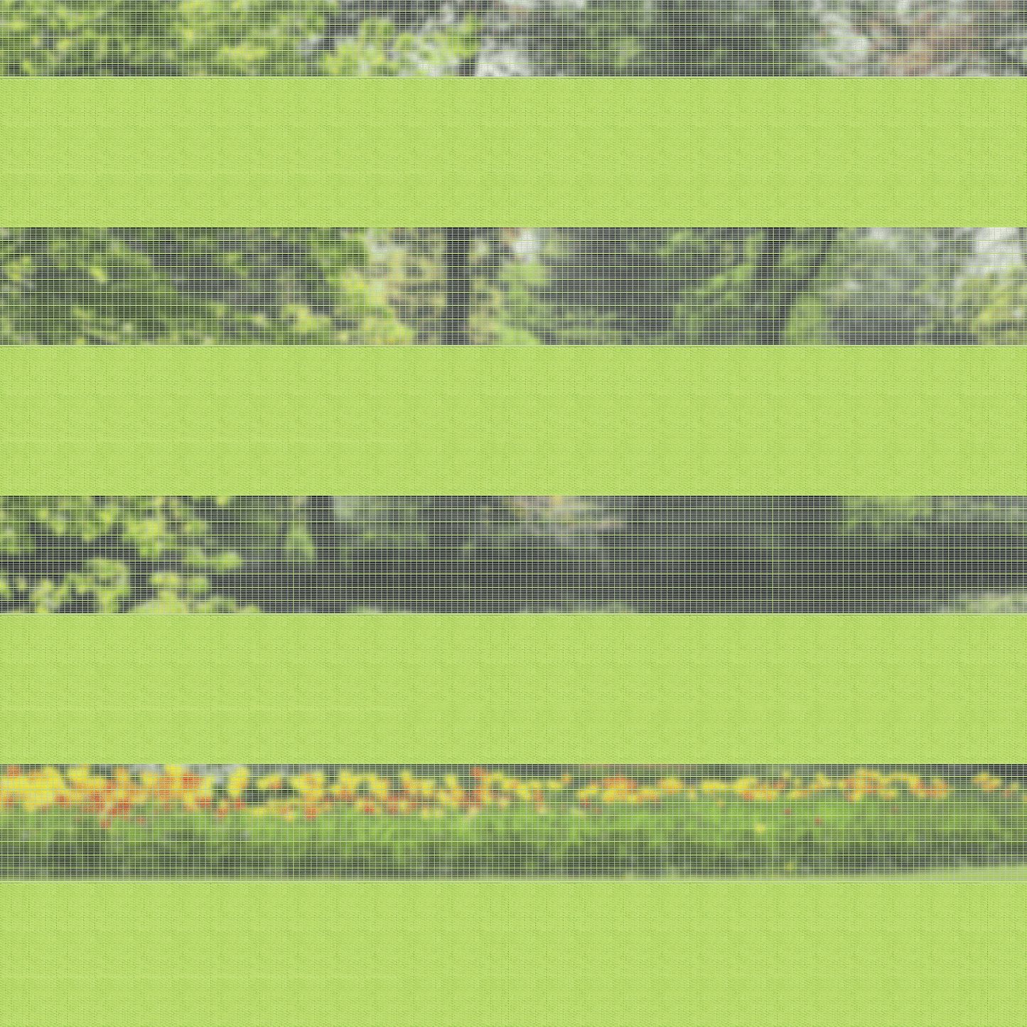 Fruit Green