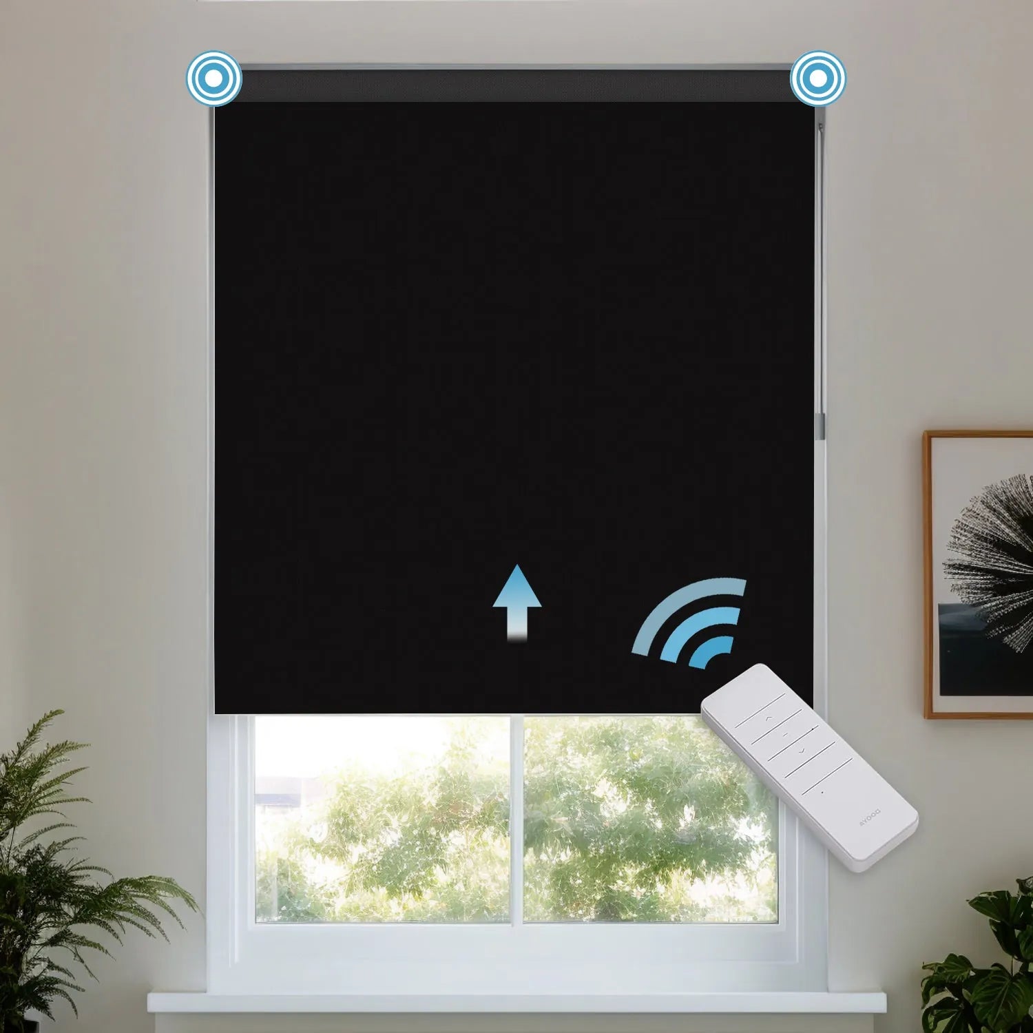 Premium Black