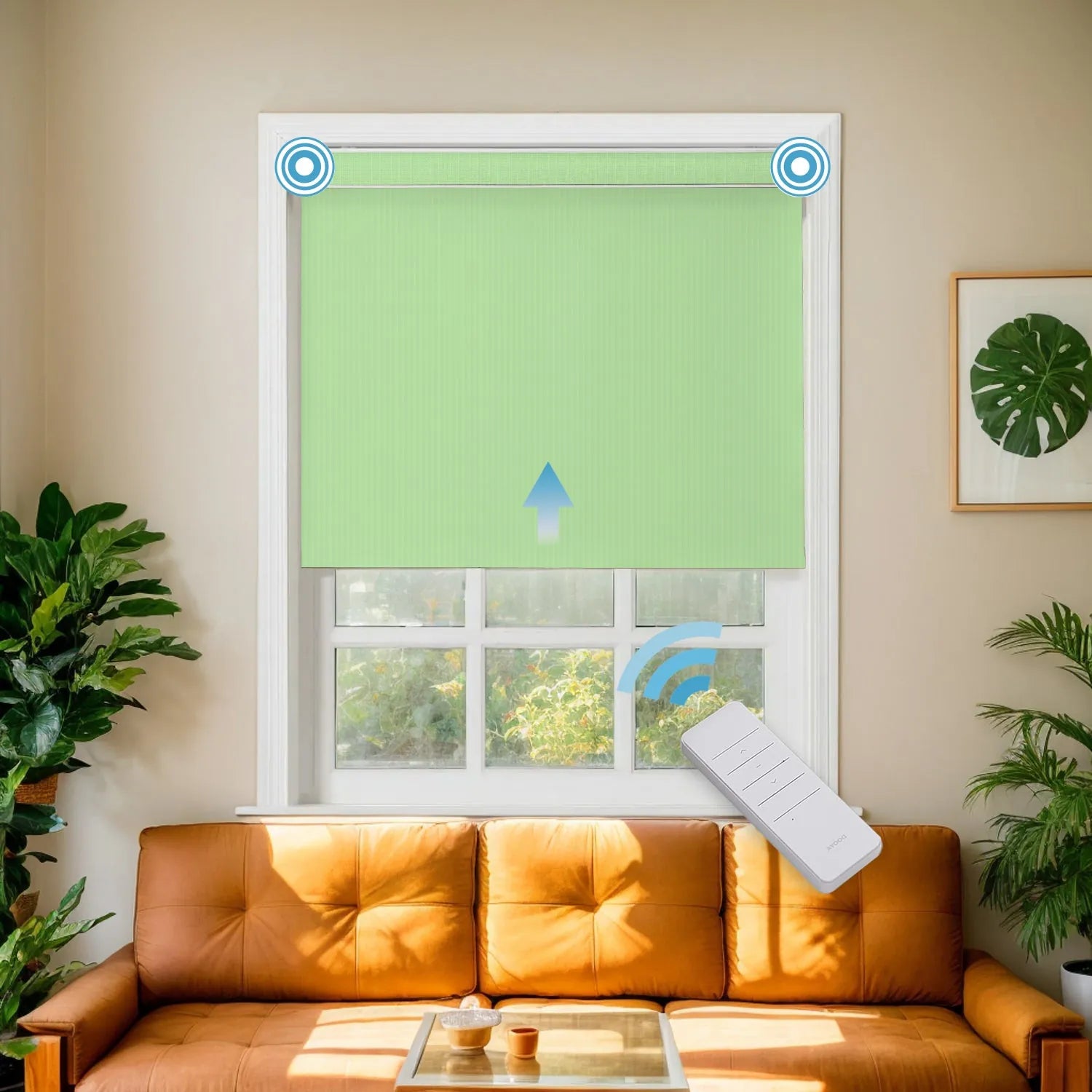 Fruit Green