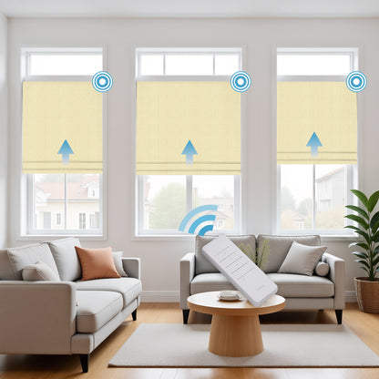 RS24 Motorized Chenille Blackout Roman Shades