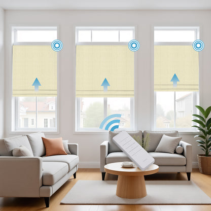 RS24 Motorized Chenille Blackout Roman Shades