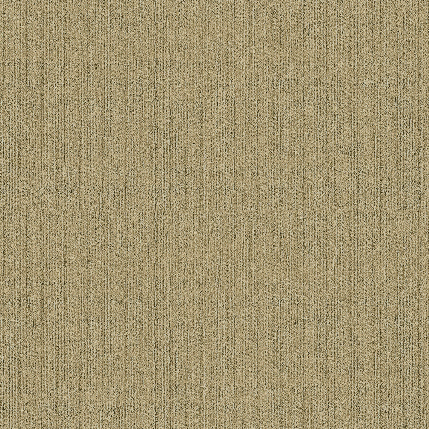 Desert