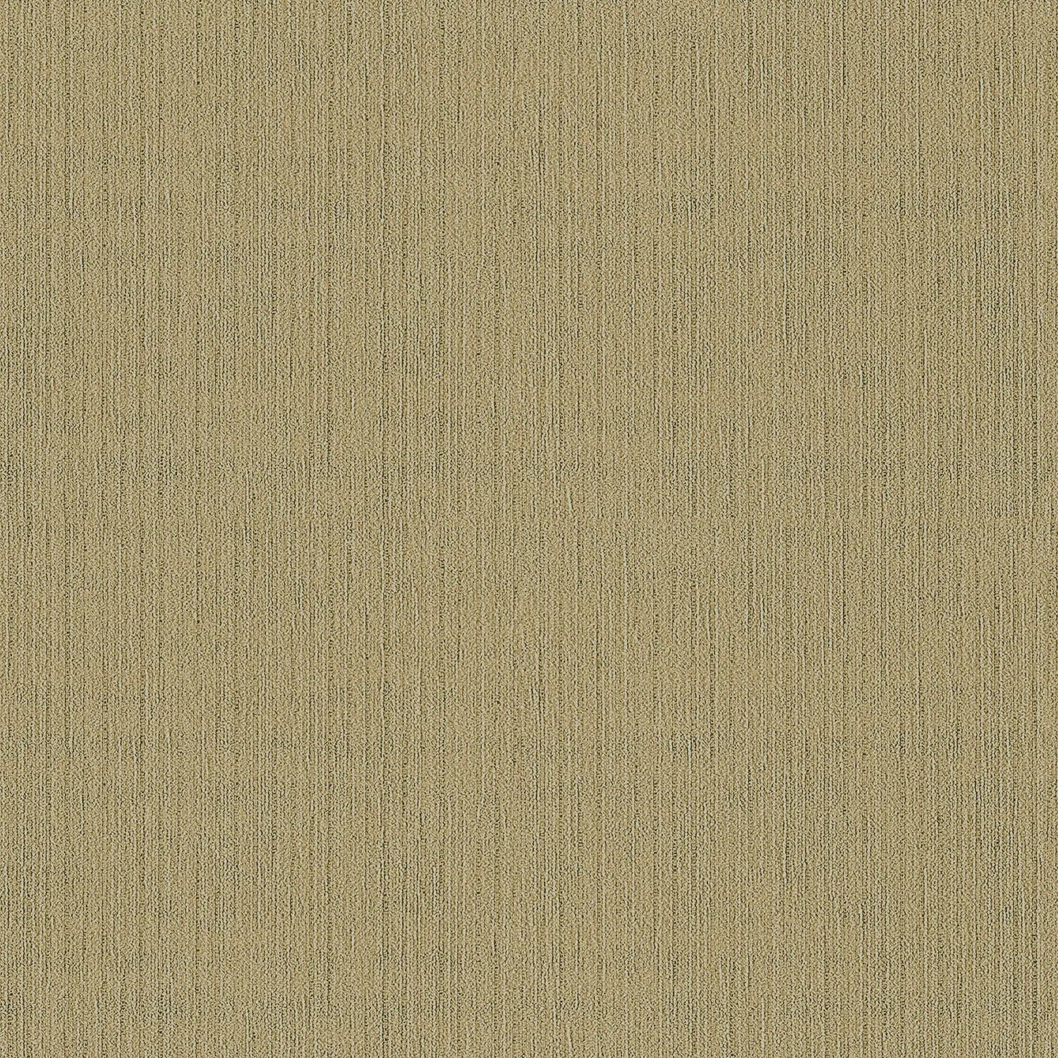 Desert