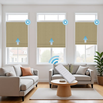 RS24 Motorized Chenille Blackout Roman Shades