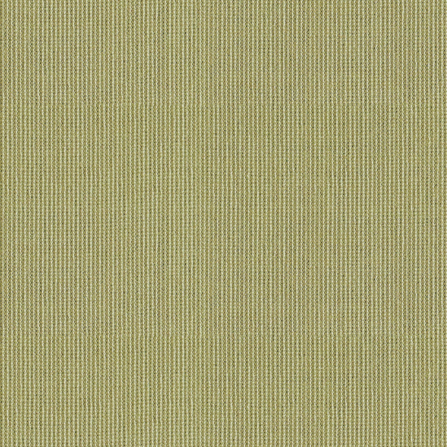 Dusty Sage