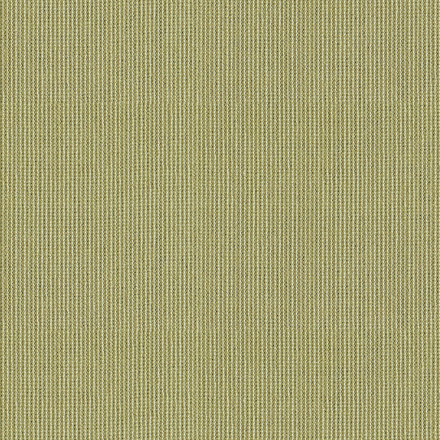 Dusty Sage