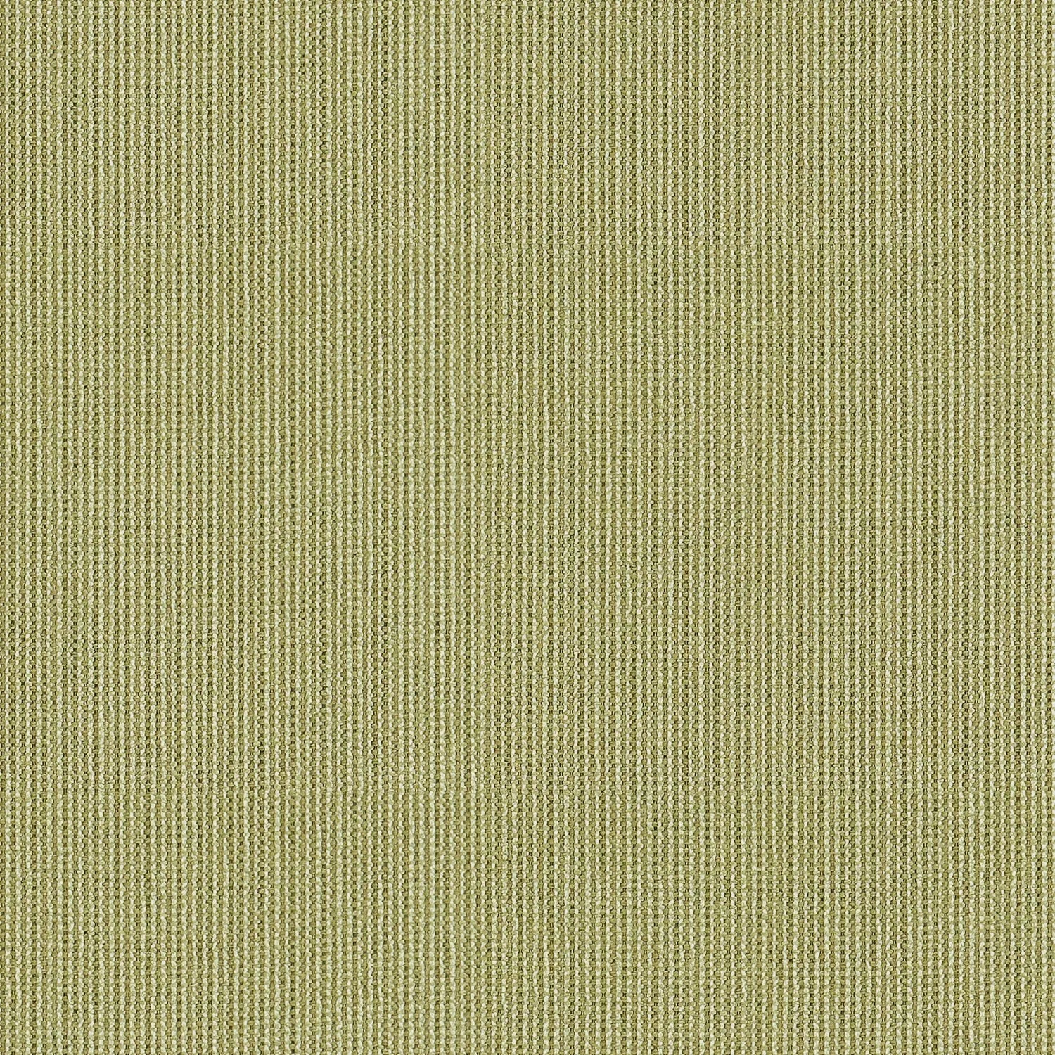 Dusty Sage