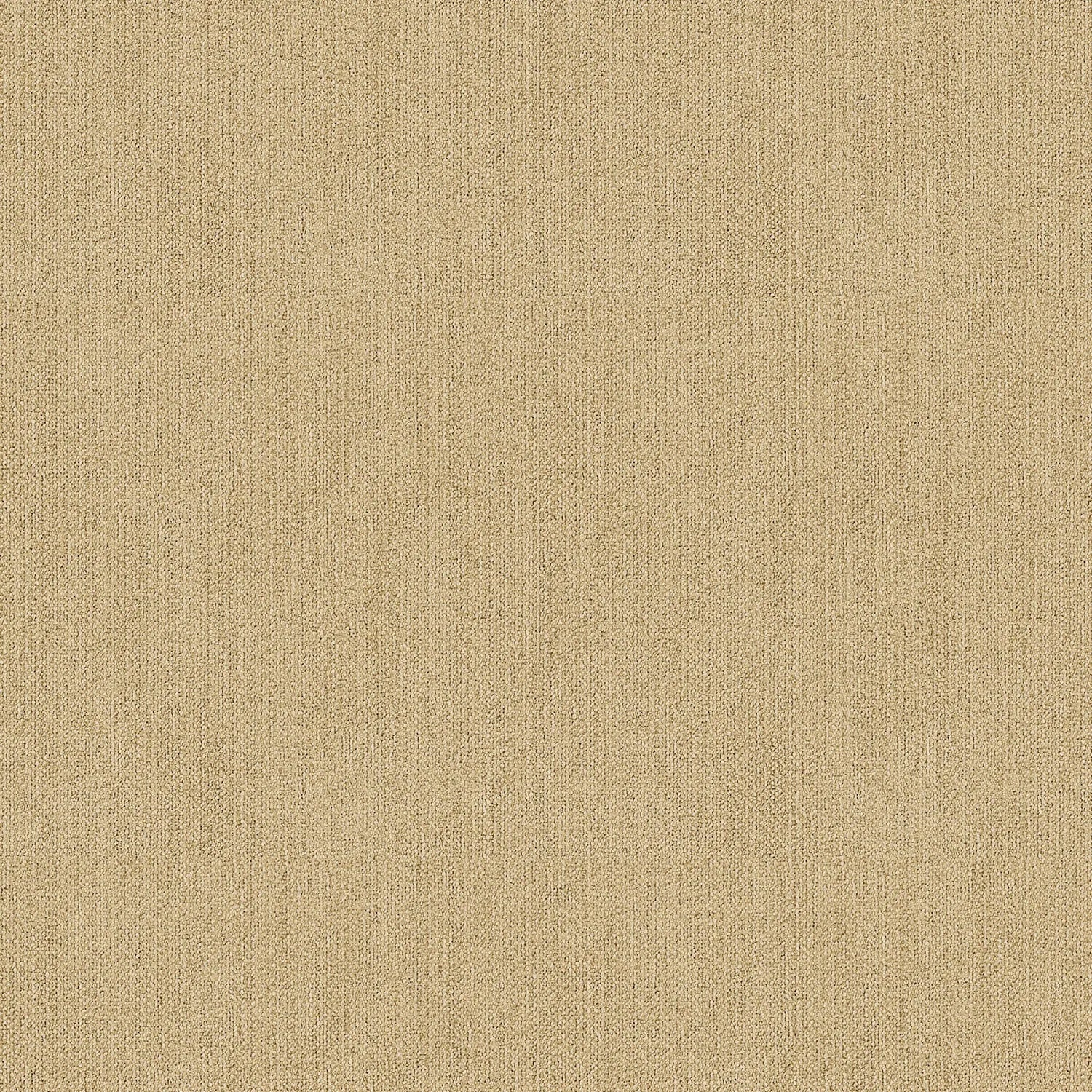 Dark Vanilla