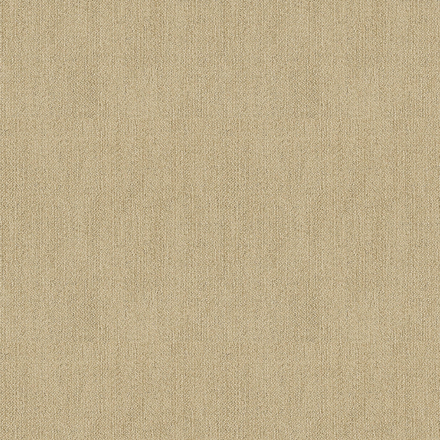 Wheat
