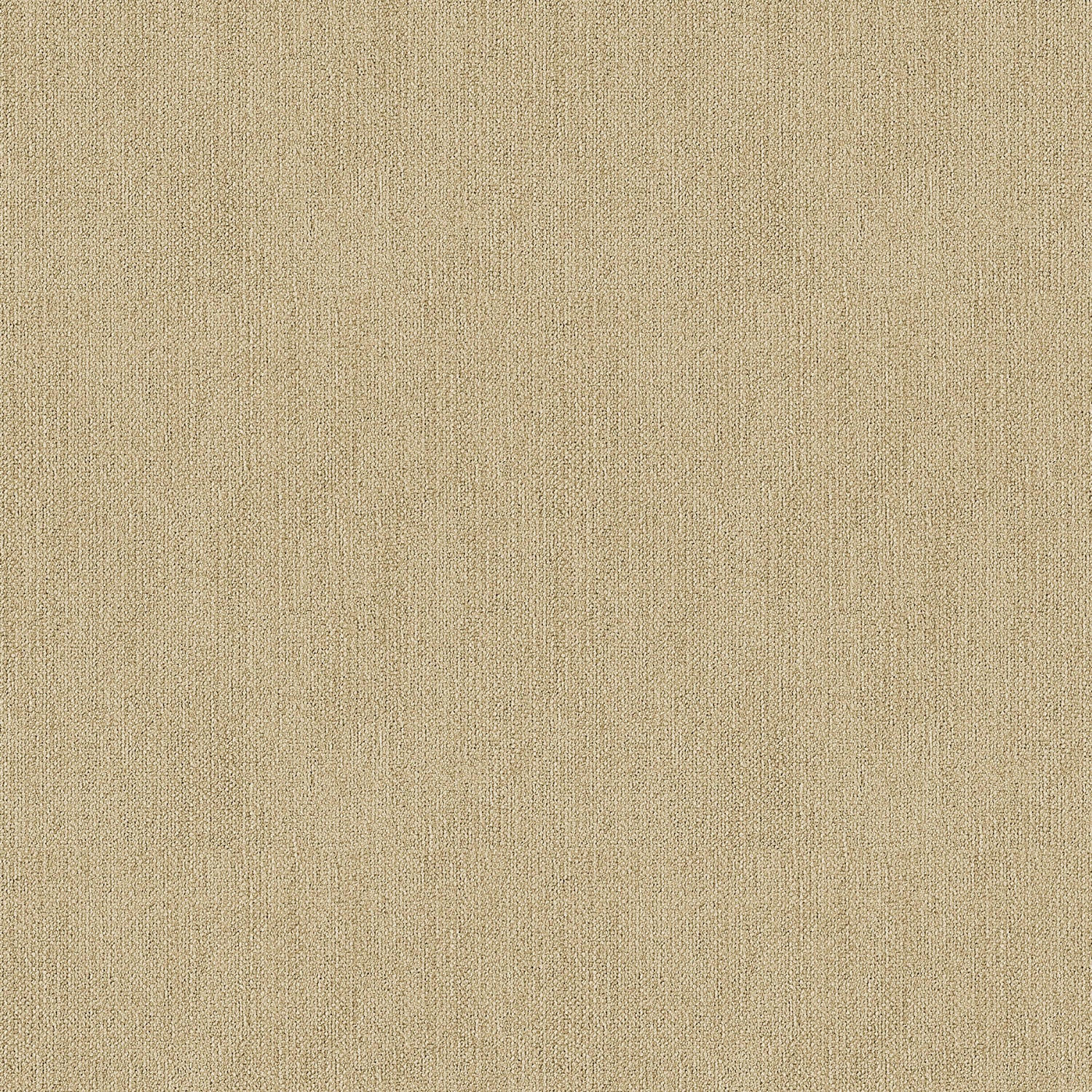 Wheat