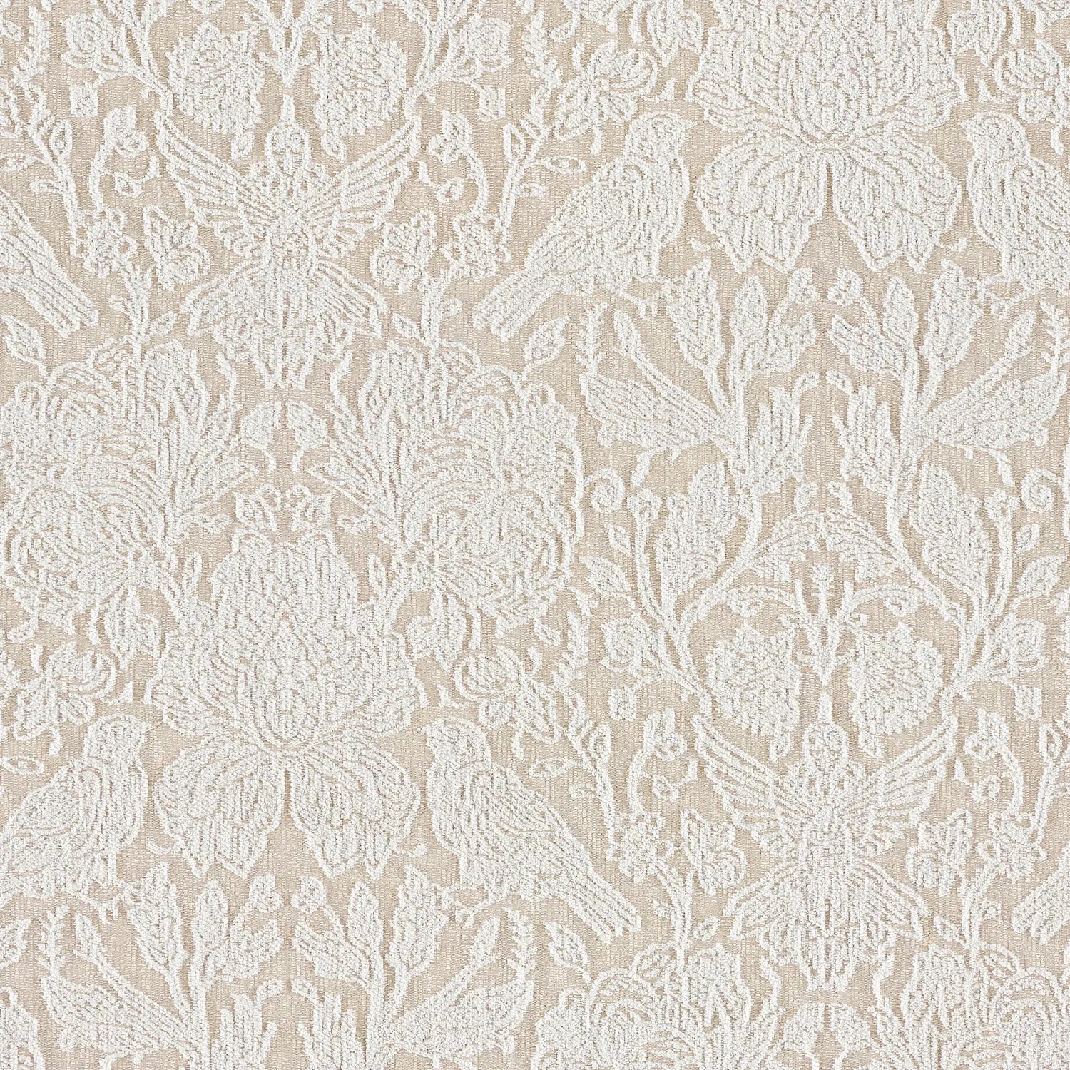 Oyster