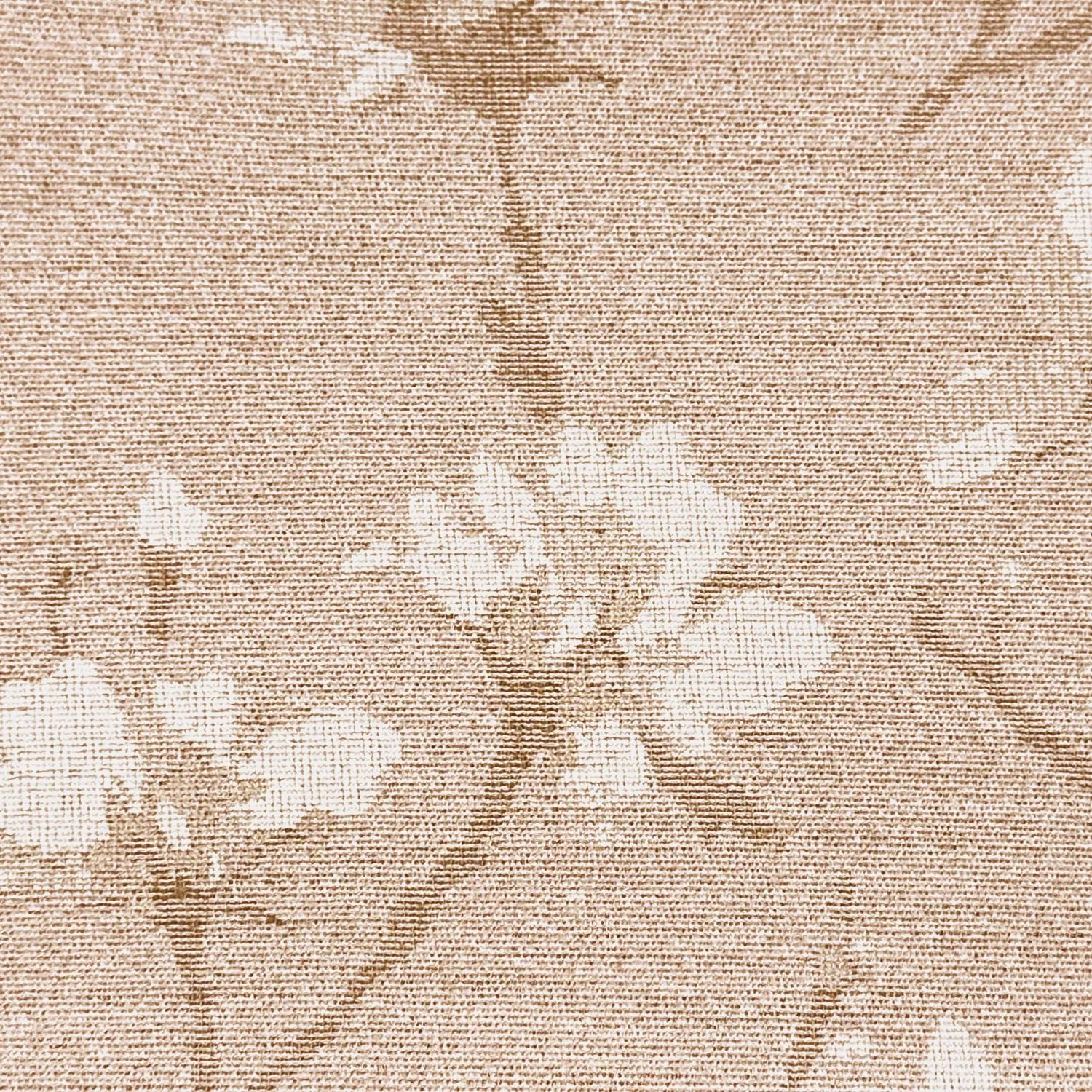 Dusty Rose