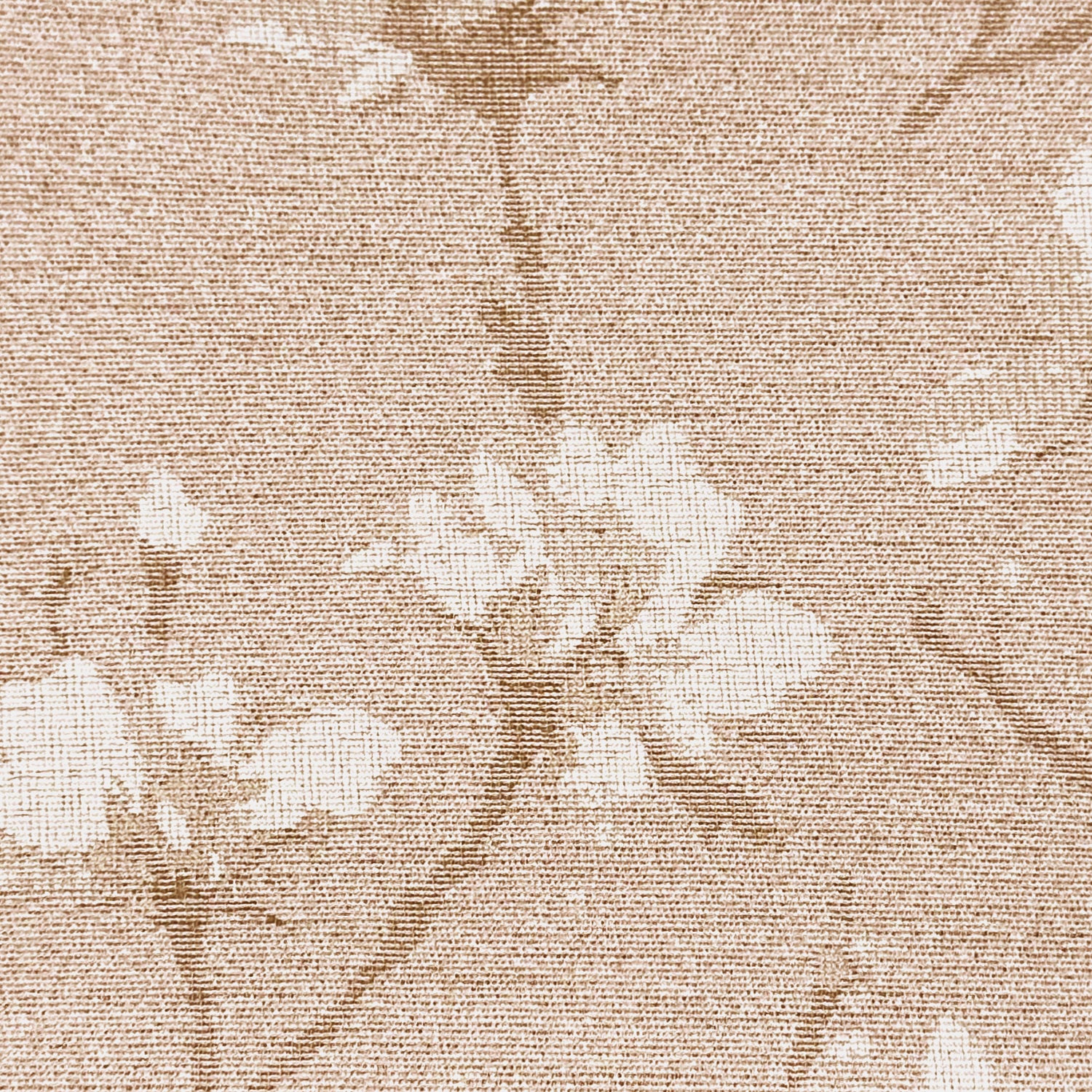 Dusty Rose