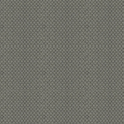 Black Gray