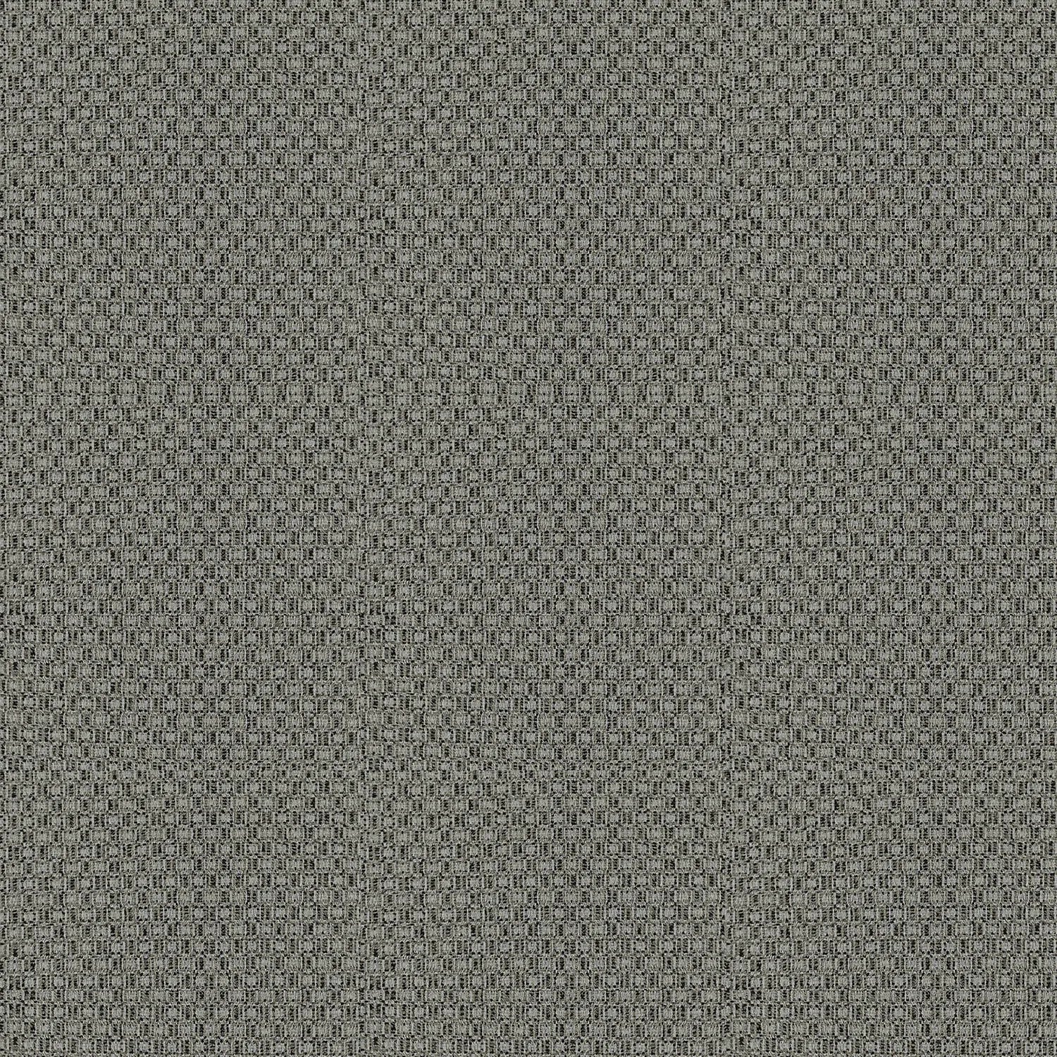 Black Gray