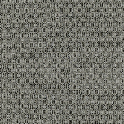 Black Gray
