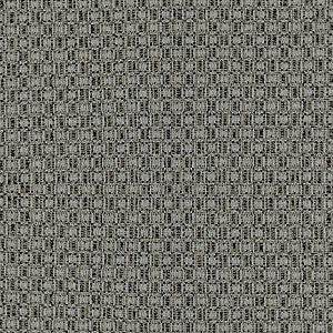 Black Gray